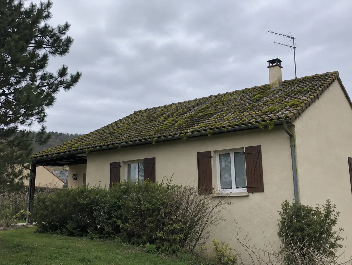 Avant : toit en tuiles couvert de mousse